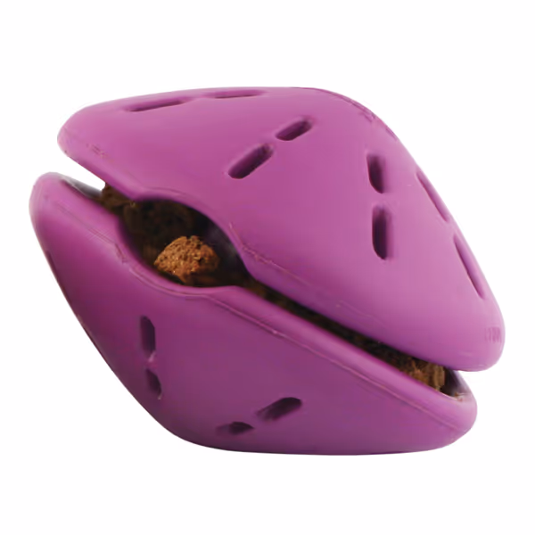 PetSafe Busy Buddy Twist'n Treat